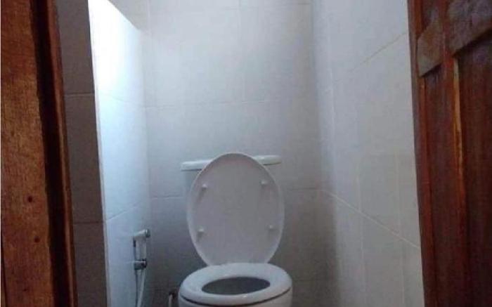 Amed Rustic