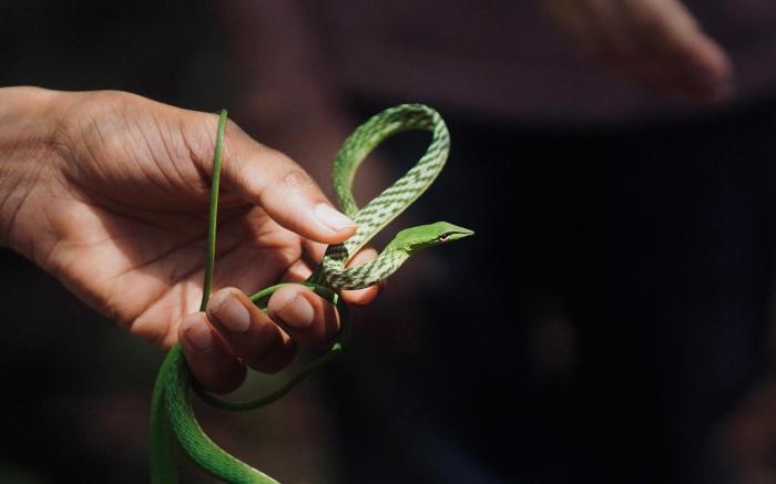 Villa Serenità By Sinharaja Rainforest 