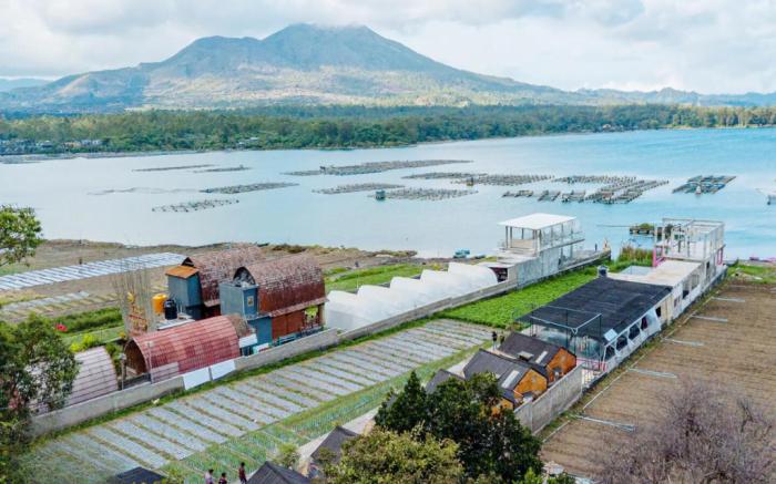 Yucabin Kintamani - for Cool Adults Only Deals