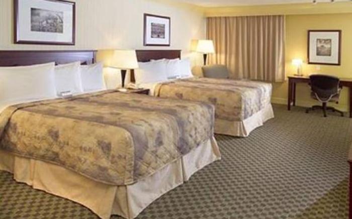 Chateau Nova Kingsway