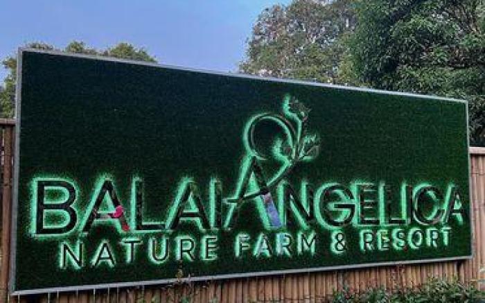 Balai Angelica - Nature Farm & Resort