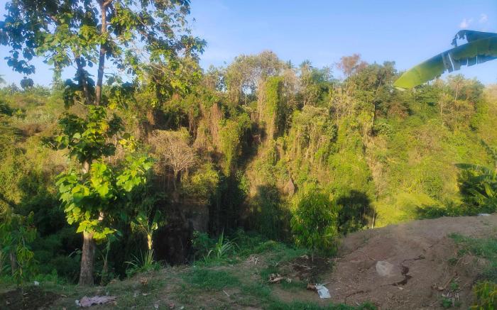The Hidden Cliff Villa Sambangan