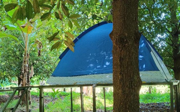 Dragster tents in Jadhika thottam