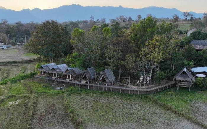 Paddy Fields Haven - Natures Nest