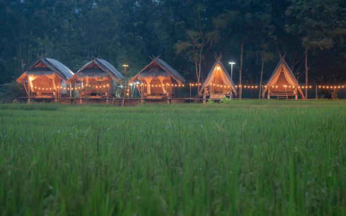 Paddy Fields Haven - Natures Nest