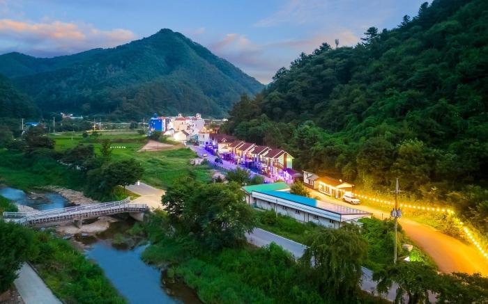 Chuncheon Namiseom pet friendly Pension