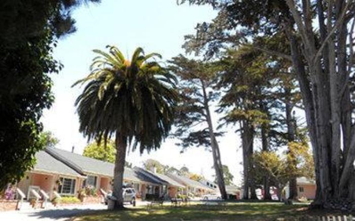 BUTTERFLY GROVE INN
