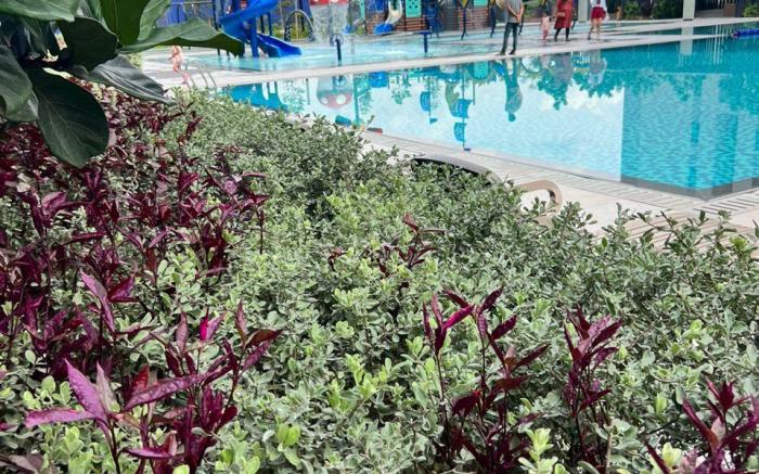 KLIA Deluxe Suite (2Pax) Free Wifi | Netflix |Pool