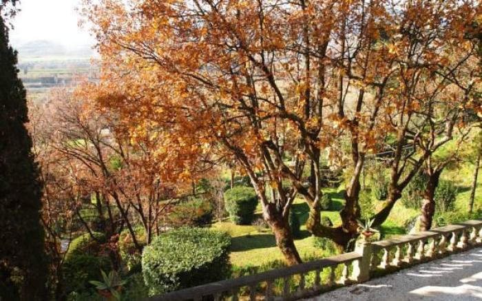Villa Alta - Residenza d'epoca con piscina