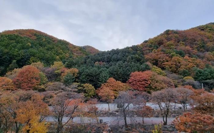 Gyegokae Poongdung Pension Camping