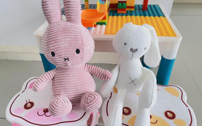 Legoland walk 3min 2RB Bunny Max8pax Dpristine