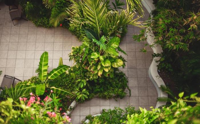 Encanto Riviera Condo Hotel