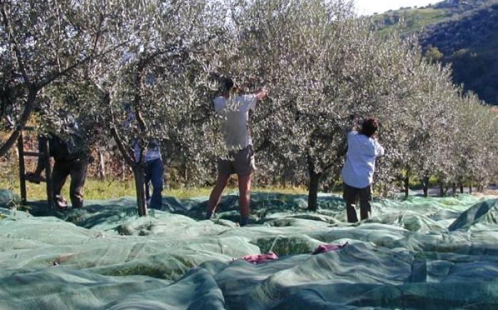 Agriturismo Il Portico