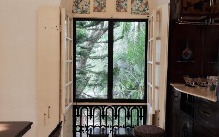 Casa Do Leão