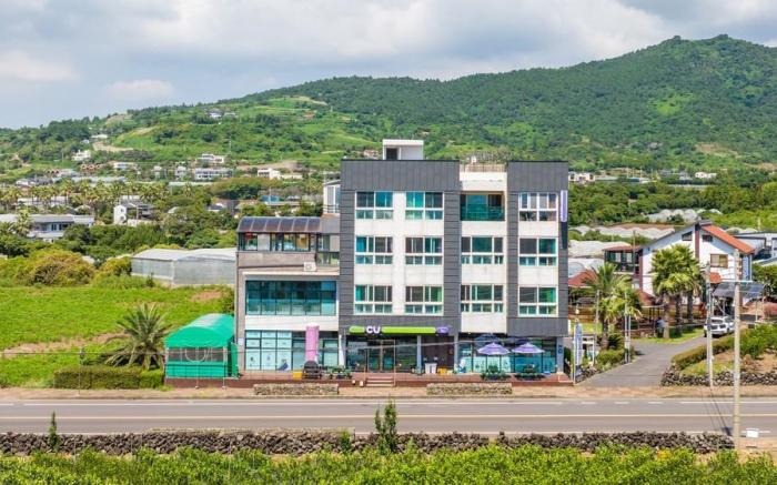 Amantov Pension