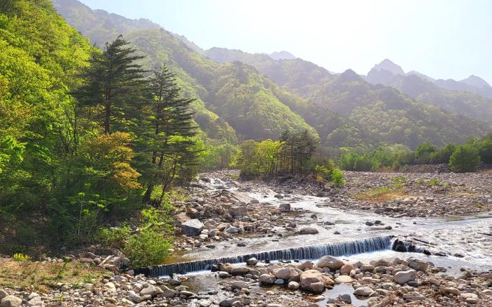 Pineview Hotel, Sokcho, Seoraksan