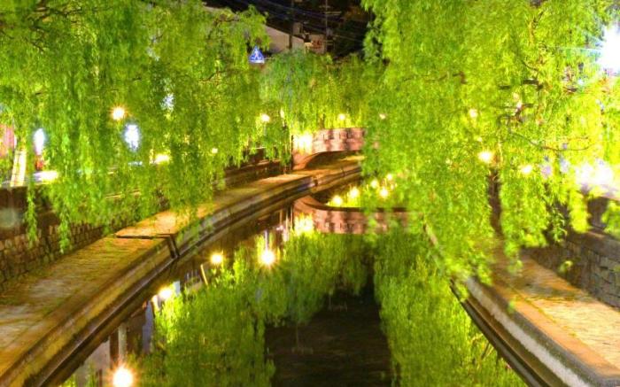 Mikuniya Ryokan