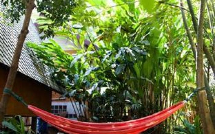 Breeze of Pai Guesthouse