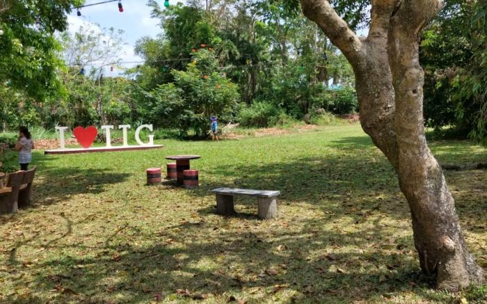 Staycation Tagaytay Albizia