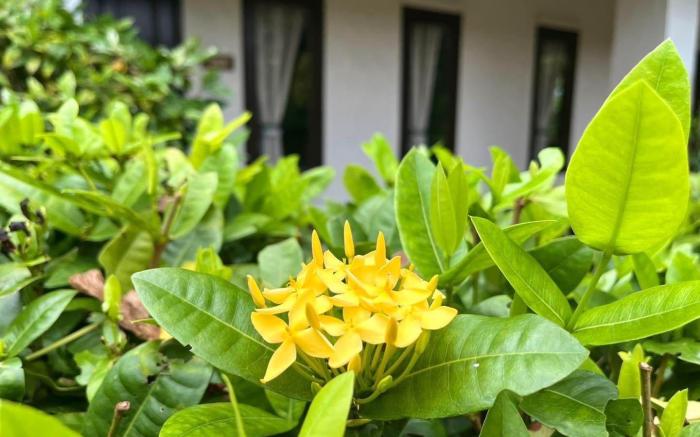 Baan Chuengkao Resort