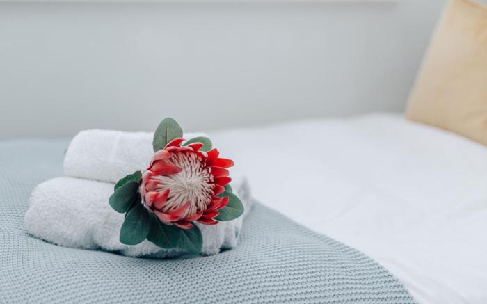 Central Hidden Gem - From £125 Per Night