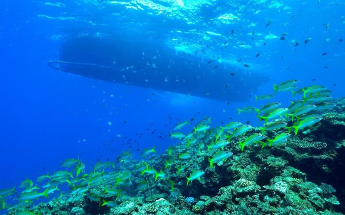 ANA InterContinental Manza Beach Resort By IHG