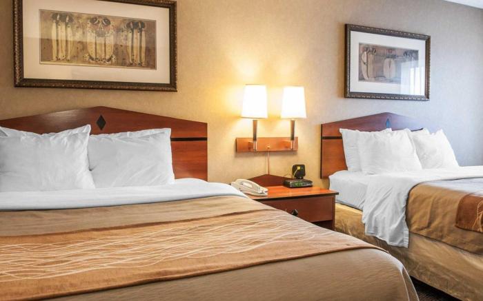 Comfort Inn Edinburgh - Columbus