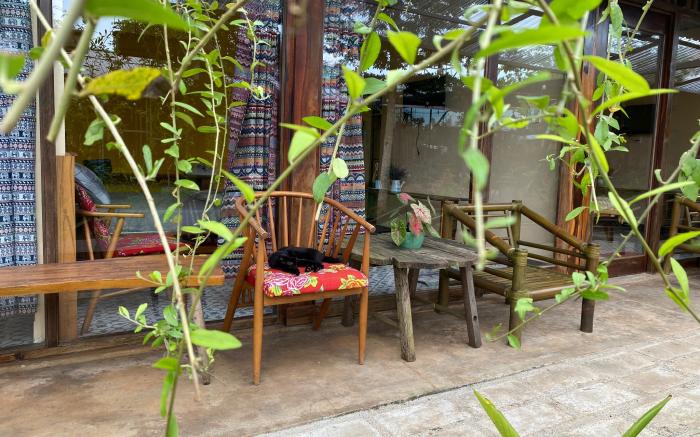 Nếp Vàng Nhà của Nếp