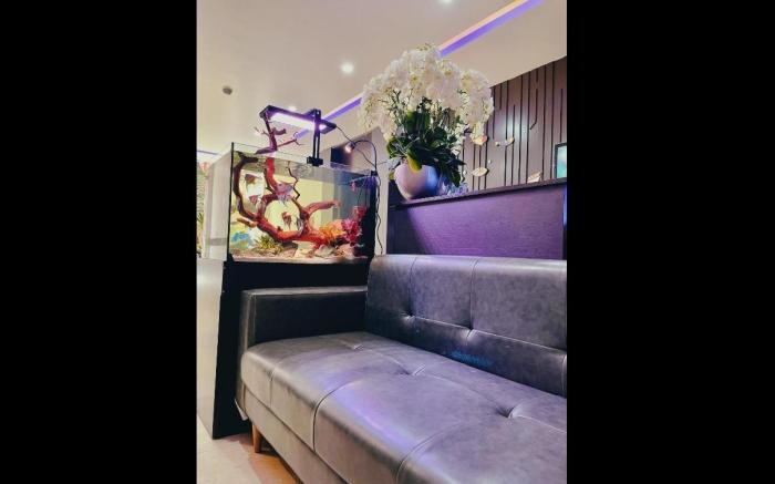 DT Hotel Hai Phong