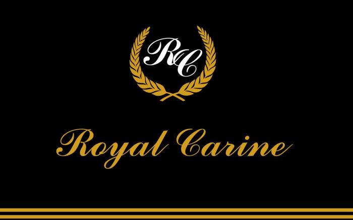 ROYAL CARINE HOTEL ANKARA