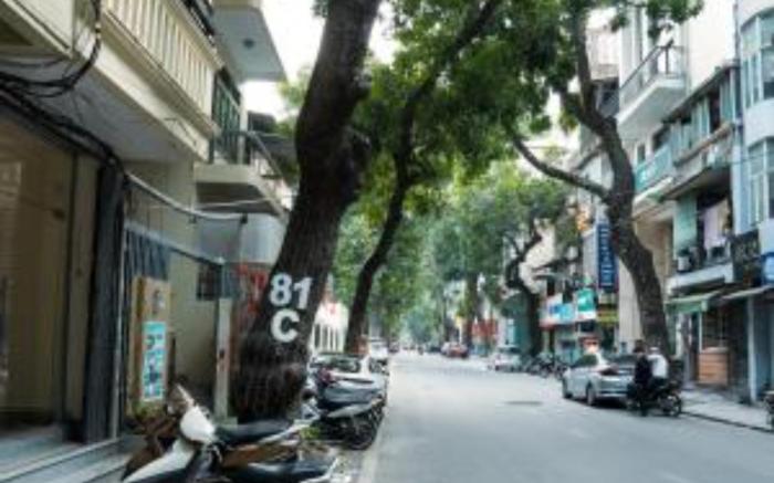 Perfume's Cozy House