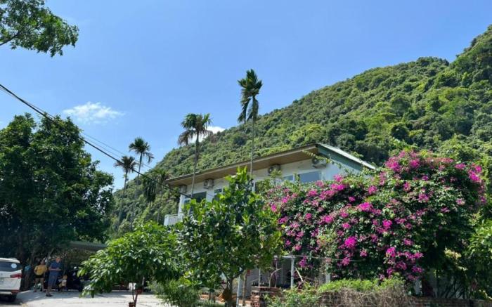 Cat Ba Countryside Homestay