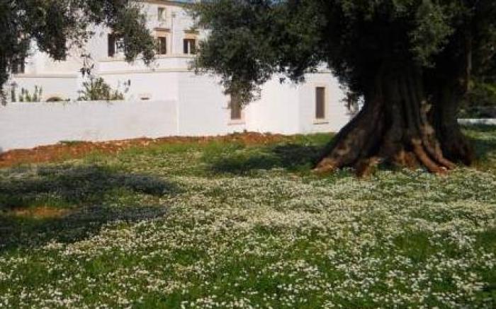 Masseria De Michele