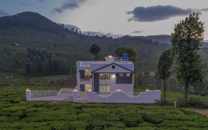 Akshu's Nest