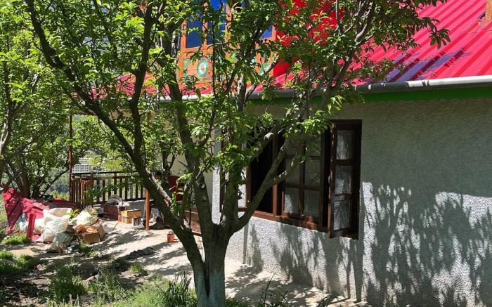Estrella Homes - Homestay in Kullu - Manali