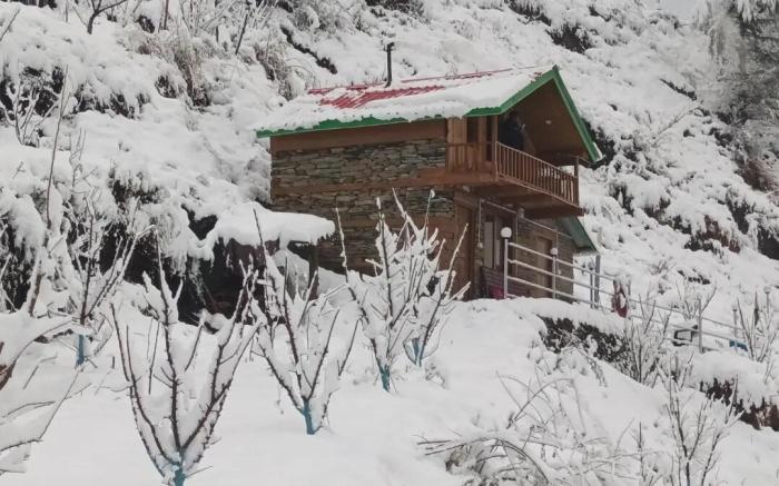 The Woodstone Farmstay 