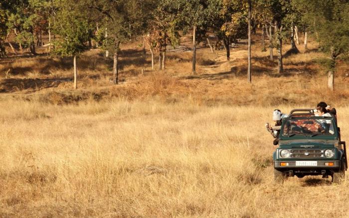 Zevara Home|Safari|Bannerghatta Forest View|BBQ