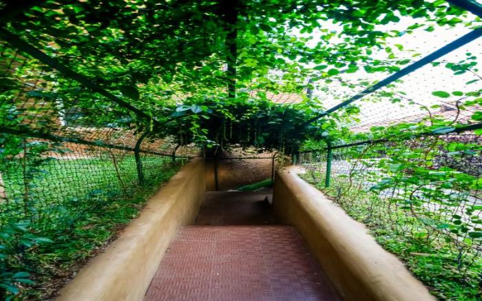 Mystery Maze Resort and Spa 