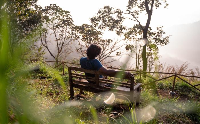 Willmount Cabin Homes, Munnar