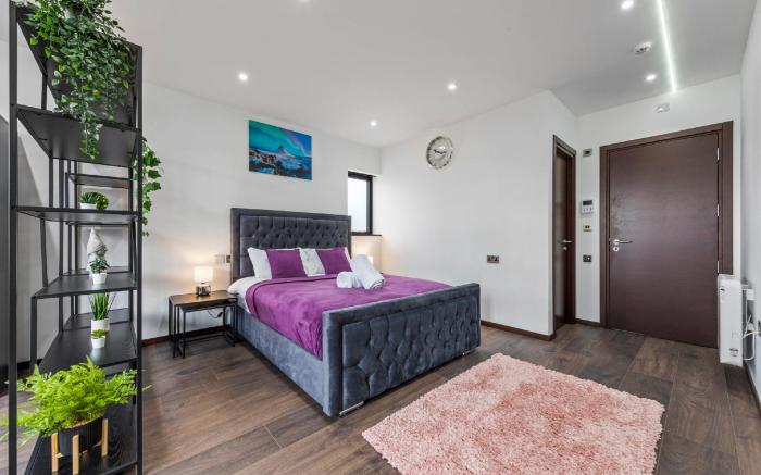 Luxury Flat near Leicester Square Central London