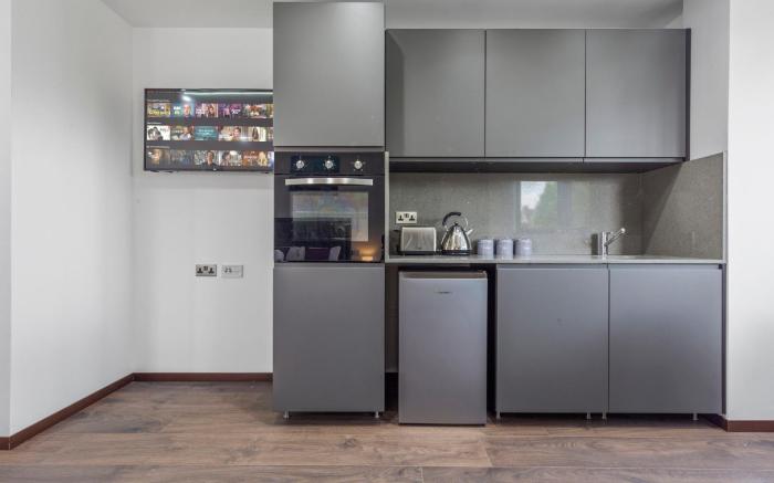 Luxury Flat near Leicester Square Central London