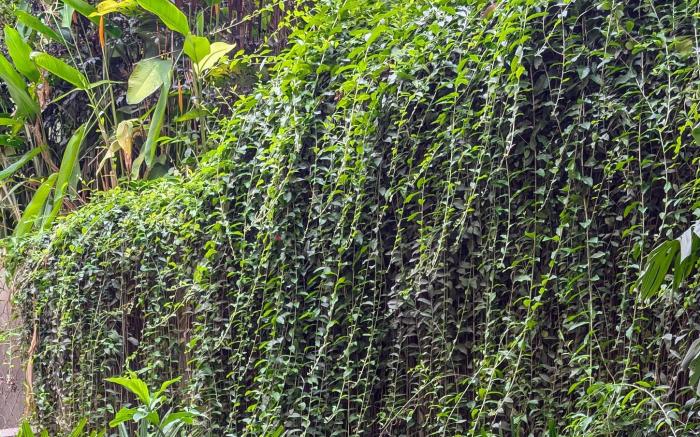 Transtree at Brookefield - Corporate Stays