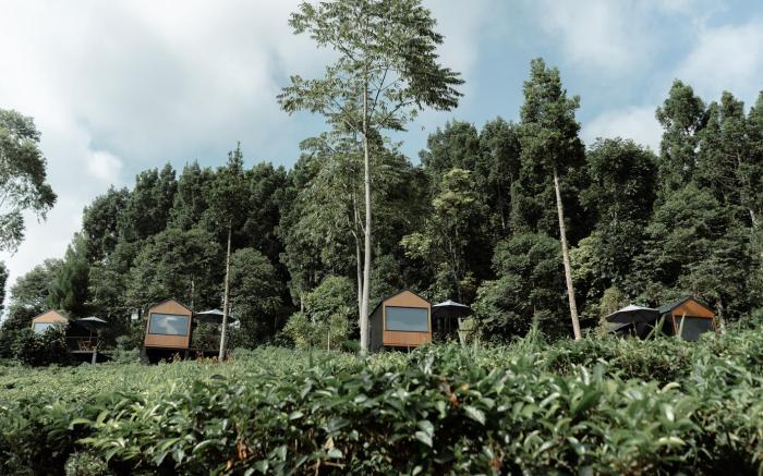Bobocabin Dieng Pass, Batang