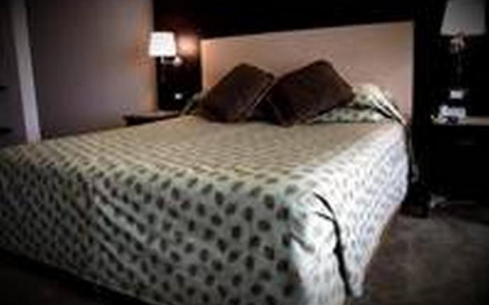 Nicon Luxury