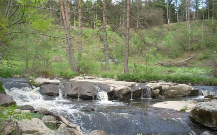 Les Roulottes de la Ferme des Chanaux