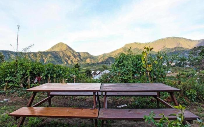 Villa Strawberry Sembalun