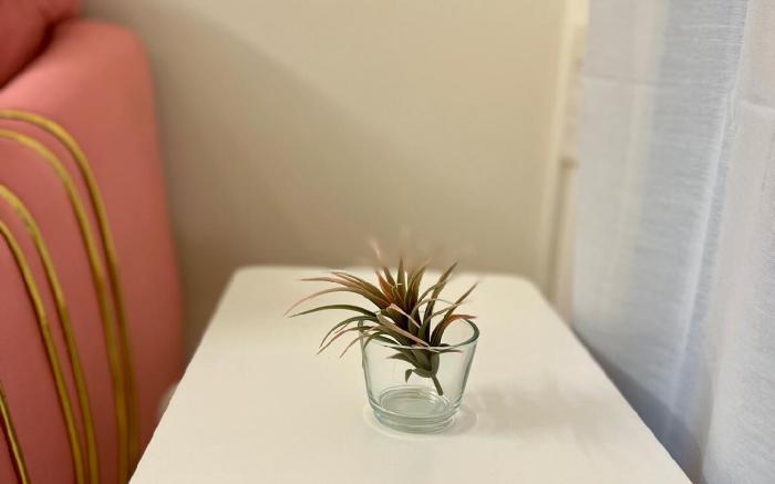 La Valentine 1 BHK Apartment