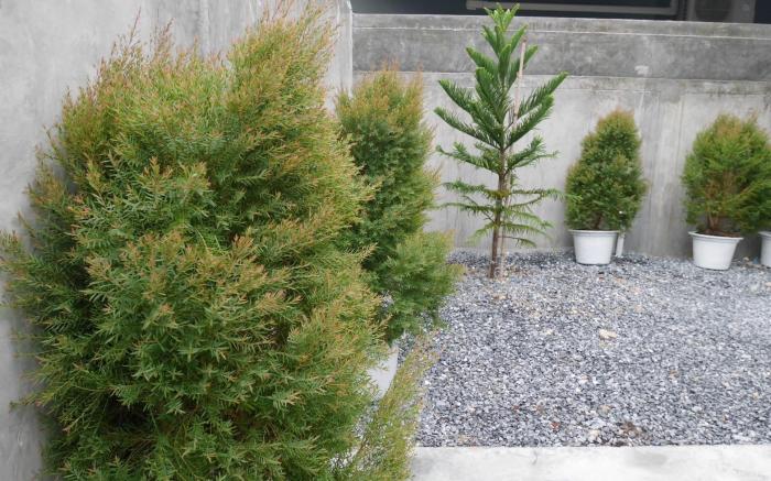 Miraryn Pool Villa with Big Buddha Mountian View