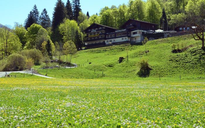 Hotel Bänklialp