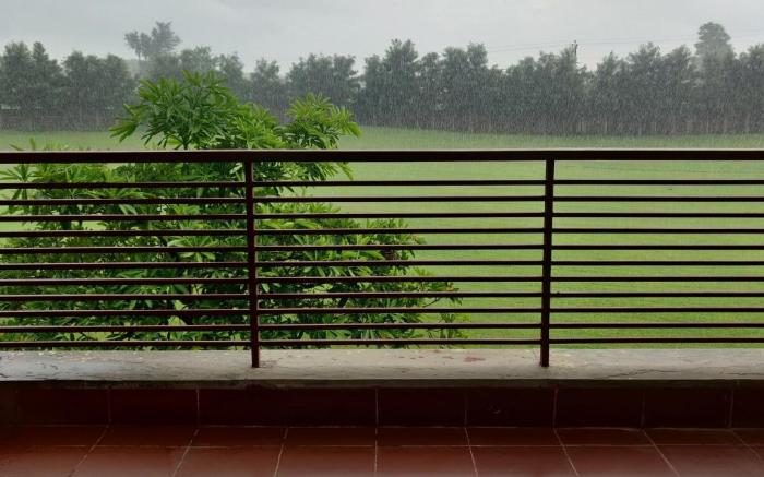 BURGUNDY BREEZE - The Studio With A View